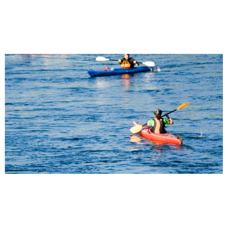 copy of KAYAK