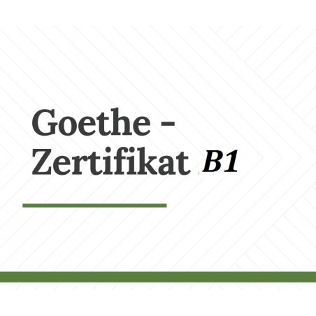 B1 Goethe-Institut