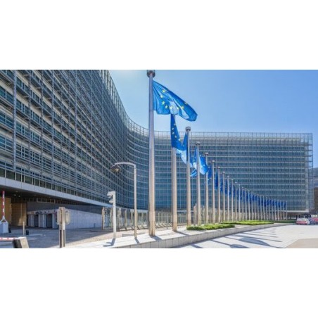 Bruselas Fe y Política